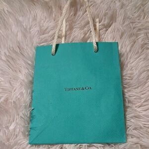 Tiffany & Co. Turquoise Shopping Bag